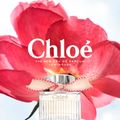 Chloe Lumineuse Eau De Parfum - Perfume Feminino 30ml 30ml
