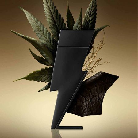 Perfume Bad Boy Le Parfum Carolina Herrera Masculino - Época