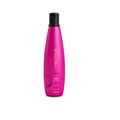 Aneethun Color System - Shampoo 300ml