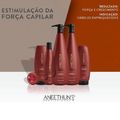 Aneethun Force System - Shampoo Fortalecedor 1l