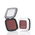 Kit Payot Retinol Cor 10 Pó Compacto e Blush Uva (2 produtos)