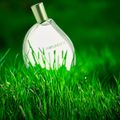 Kenzo Parfum D'Ete Eau de Parfum - Perfume Feminino 75ml 75ml