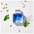 Banderas Blue Seduction Eau de Toilette - Perfume Masculino 100ml 100ml