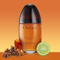 Calvin Klein Obsession Eau de Parfum - Perfume Feminino 100ml 100ml