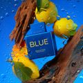 Banderas Blue Seduction Summer Essence Eau de Toilette - Perfume Masculino 100ml 100ml