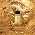 Antonio Banderas The Secret Absolu Eau De Parfum - Perfume Masculino 100ml 100ml