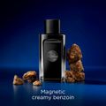 Antonio Banderas The Icon Eau de Parfum - Perfume Masculino 50ml 50ml