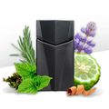 Animale Seduction For Men Eau de Toilette - Perfume Masculino 30ml 30ml