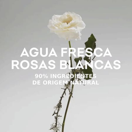 Adolfo-Dominguez-Rosas-Blancas-Eau-de-Toilette---Perfume-Feminino-120ml-120ml--8