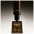 Burberry Hero Parfum - Perfume Masculino 150ml 150ml