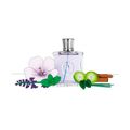 Marina De Bourbon Le Prince Elegant Man Eau de Parfum - Perfume Masculino 100ml 100ml