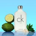 Calvin Klein CK One Eau De Toilette - Perfume Unissex 100ml 100ml