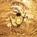 Antonio Banderas Her Secret Absolu Eau De Parfum - Perfume Feminino 80ml 80ml