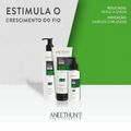Aneethun AntiQueda Loção Estimulante 115ml