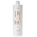 BRAE Divine Shampoo 1L Mascara 250g e Bond Angel Flex Efect 100ml