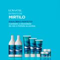 Kit Lowell Extrato de Mirtilo Shampoo Condicionador Óleo e Pour Toi Parfum Cabelo e Corpo (4 produtos)