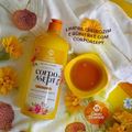 Corpo Dourado Asept - Sabonete Líquido Corporal Antisséptico Arnica 1L