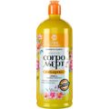 Corpo Dourado Asept - Sabonete Líquido Corporal Antisséptico Arnica 1L