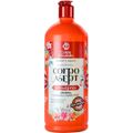 Corpo Dourado Asept - Sabonete Líquido Corporal Antisséptico Aroeira 1L