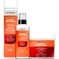 For Beauty Recarga Fortificante - Kit Antiqueda Crescimento Acelerado Trio (3 Produtos)