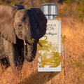 Salvatore Ferragamo Savane di Seta Eau de Parfum - Perfume Unissex 100ml 100ml