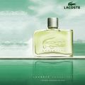 Lacoste Essential Eau de Toilette - Perfume Masculino 125ml 125ml