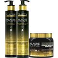 Glatten Milagre dos Fios Nutritious - Kit Terapia de Nutrição Trio (3 Produtos)