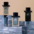 Burberry Mr Burberry Eau de Parfum - Perfume Masculino 100ml 100ml