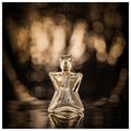 Shakira Rock! Eau de Toilette - Perfume Feminino 50ml 50ml