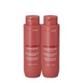 Kit Braé Stages Color Protect Duo