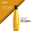 Aneethun Shampoo Pós-química Repair System 300ml