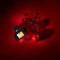Antonio Banderas Her Secret Flame Eau de Toilette - Perfume Feminino 80ml 80ml
