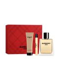 Kit Burberry Hero Masculino - Eau de Toilette 100ml + Shower Gel 75ml + Miniatura 10ml Kit