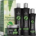 Bio Instinto Mamona e Babosa - Kit Tratamento Hidratação Purificante (4 Produtos)
