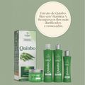 Bio Instinto Quiabo - Kit Hidratação e Umectação Intensa (4 Produtos)
