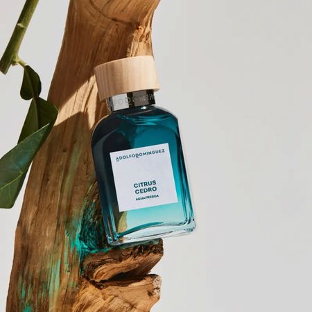 Adolfo-Dominguez-Citrus-Cedro-Eau-de-Toilette---Perfume-Masculino-120ml-120ml--11