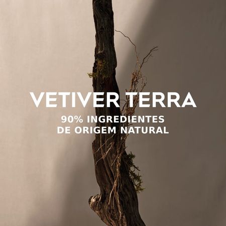 Adolfo-Dominguez-Vetiver-Terra-Eau-de-Parfum---Perfume-Masculino-120ml-120ml--8