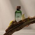 Adolfo Dominguez Vetiver Terra Eau de Parfum - Perfume Masculino 120ml 120ml