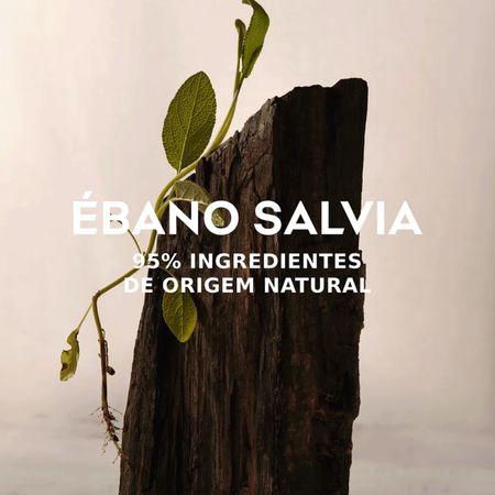Adolfo-Dominguez-Ebano-Salvia-Eau-de-Parfum---Perfume-Masculino-120ml-120ml--10
