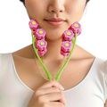 Nobrand - Rolo Massageador Facial 3D em V Plástico Flexível Verde com Rosa