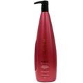 Aneethun Force Shampoo Fortalecedor  1L
