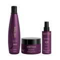 Kit Aneethun No Frizz - Shampoo 300ml + Máscara 250g + Leave In Selante 120ml