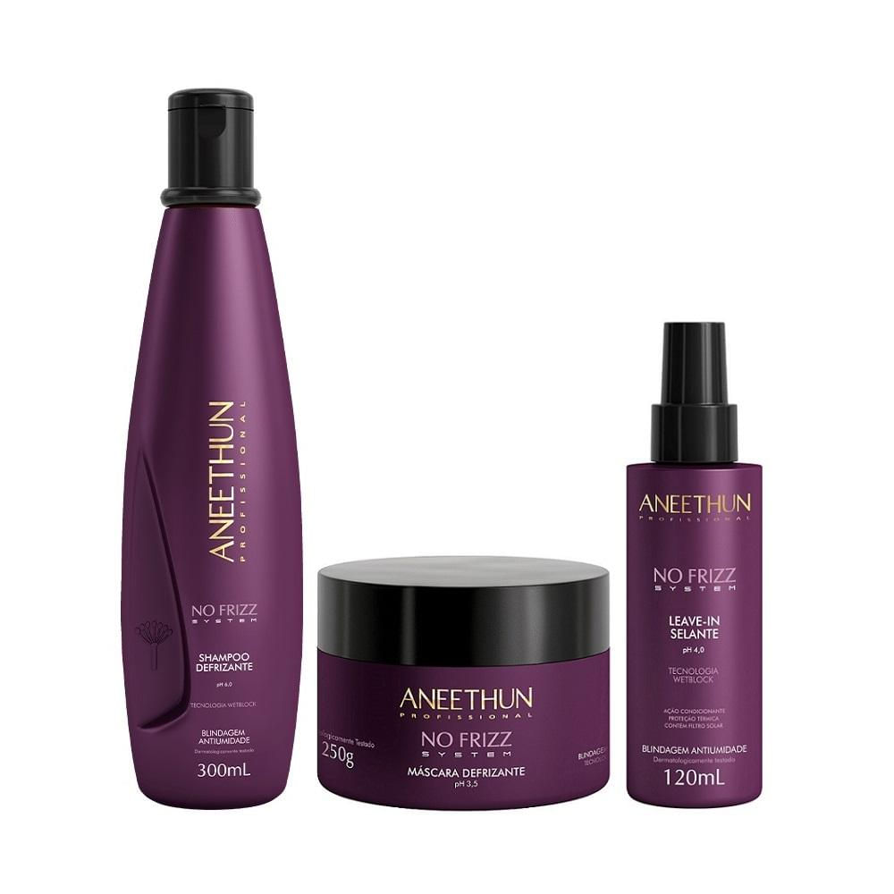 Kit Aneethun No Frizz - Shampoo 300ml + Máscara 250g + Leave In Selante 120ml
