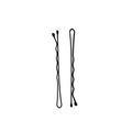 Grampo Para Cabelo 100 Un. Preto Nº5 Ricca