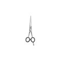 Tesoura para Cabelo Vertix Iniciante Laser 5,5” 1817