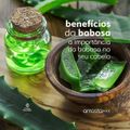 Corpo Dourado Capichosa Babosa - Creme 2 em 1 de Pentear e Hidratação 1kg