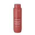 Braé Stages Color Protect - Shampoo 250ml