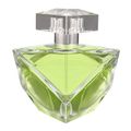 Britney Fantasy Believe Eau de Parfum - Perfume Feminino 100ml 100ml