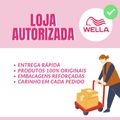 Kit Cronograma Capilar 3 Máscaras - Wella