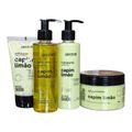 Kit Labotrat Dia a Dia Capim Limão - Corpo e Banho 4 Und
